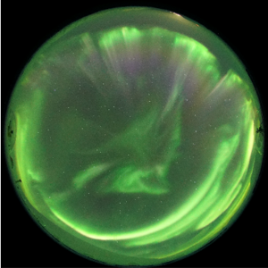 Aurora 650x650