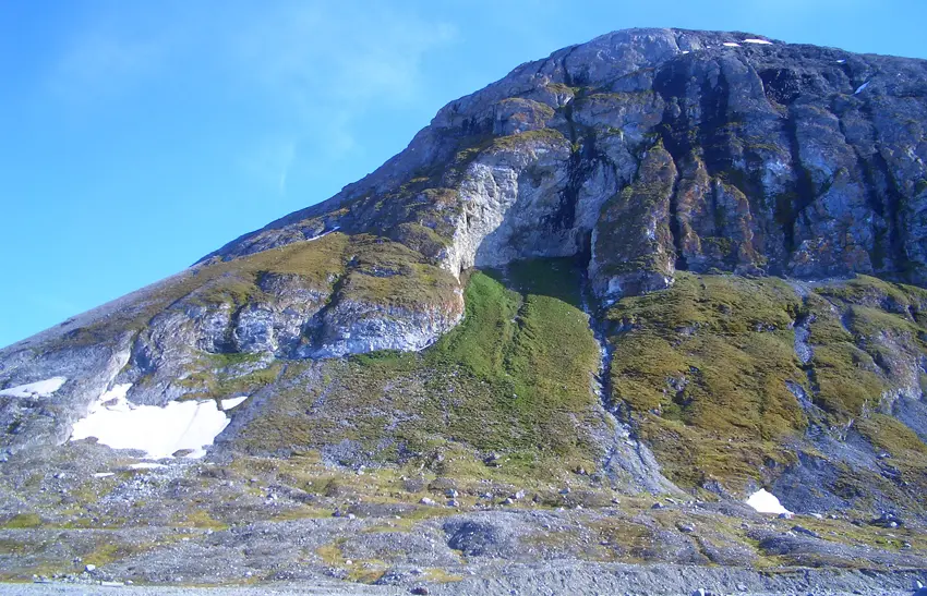 Bird cliff, Blomstrand, Kongsfjorden