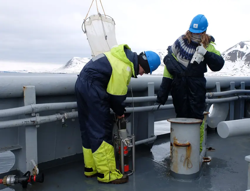 Transfering plankton into sample container