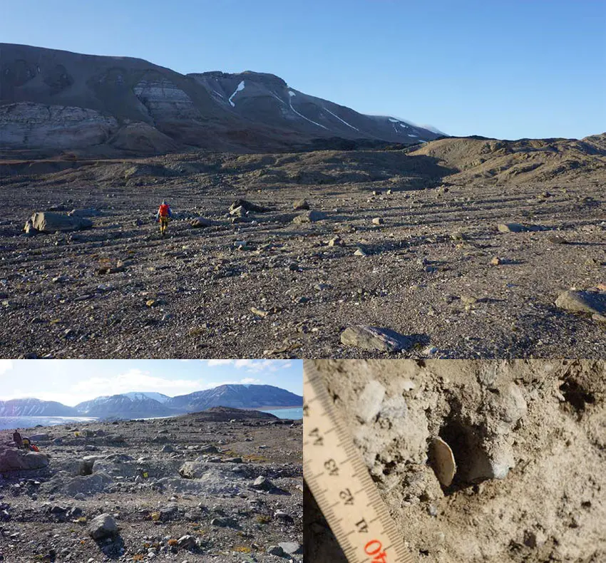 Collage: Photo documentation of the landscape (top), the oblong stripes in the landscape are seen clearly. Bottom left: Digging a cross section in the low ridges. Bottom right: Shell fragment found in one cross section.