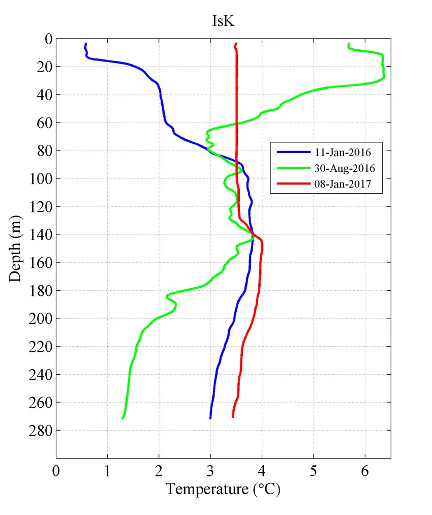Sea temperatures in Isfjorden in Janaury and August 2016 and January 2017