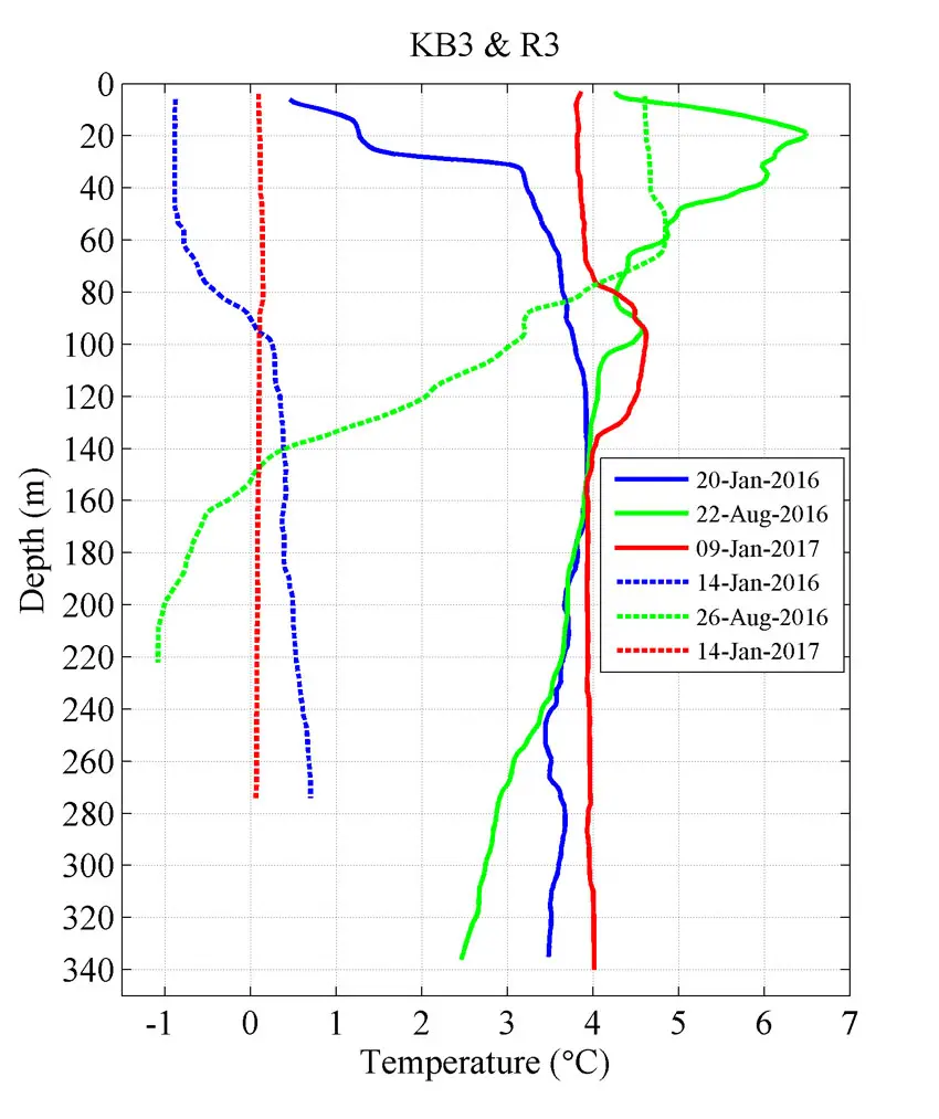 sea temperatures in Kongsfjorden (solid lines) and Rijpfjorden (dashed lines), in January 2016 and January 2017 and August 2016. 