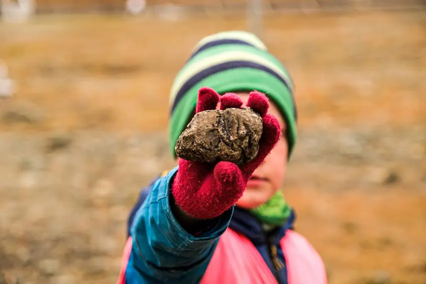 Kids showing rock