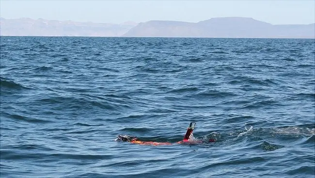 LAUV underwater vehicle deployed for sampling fjord water. 