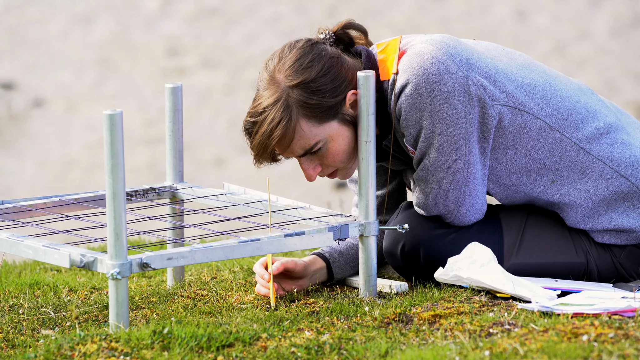 Certification of field skills on vegetation recording techniques. Photo: Simen Hjelle