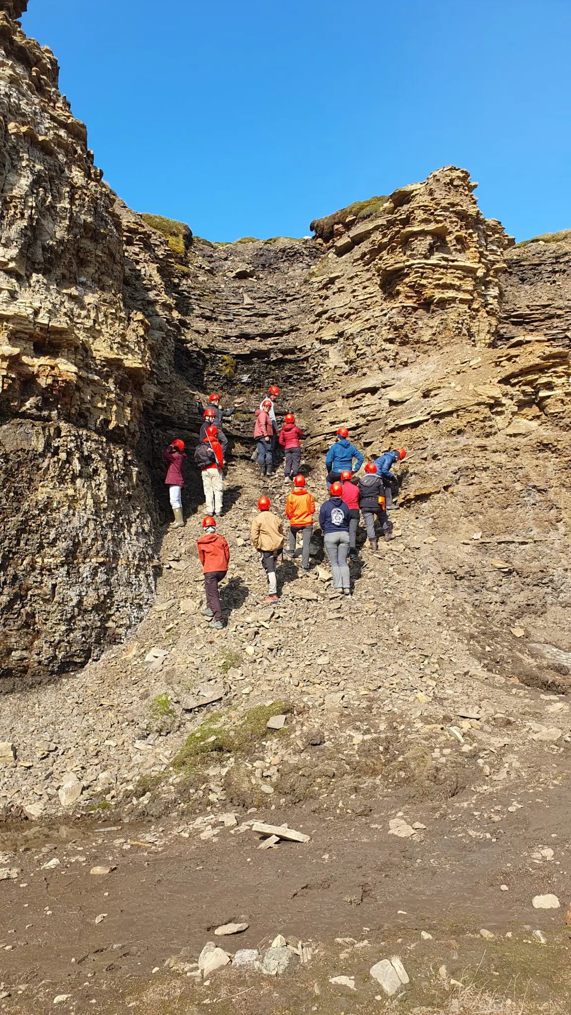 Students looking at a Cretaceous section in Hanaskogdalen, June 2023. Photo Carlette Blok/UNIS