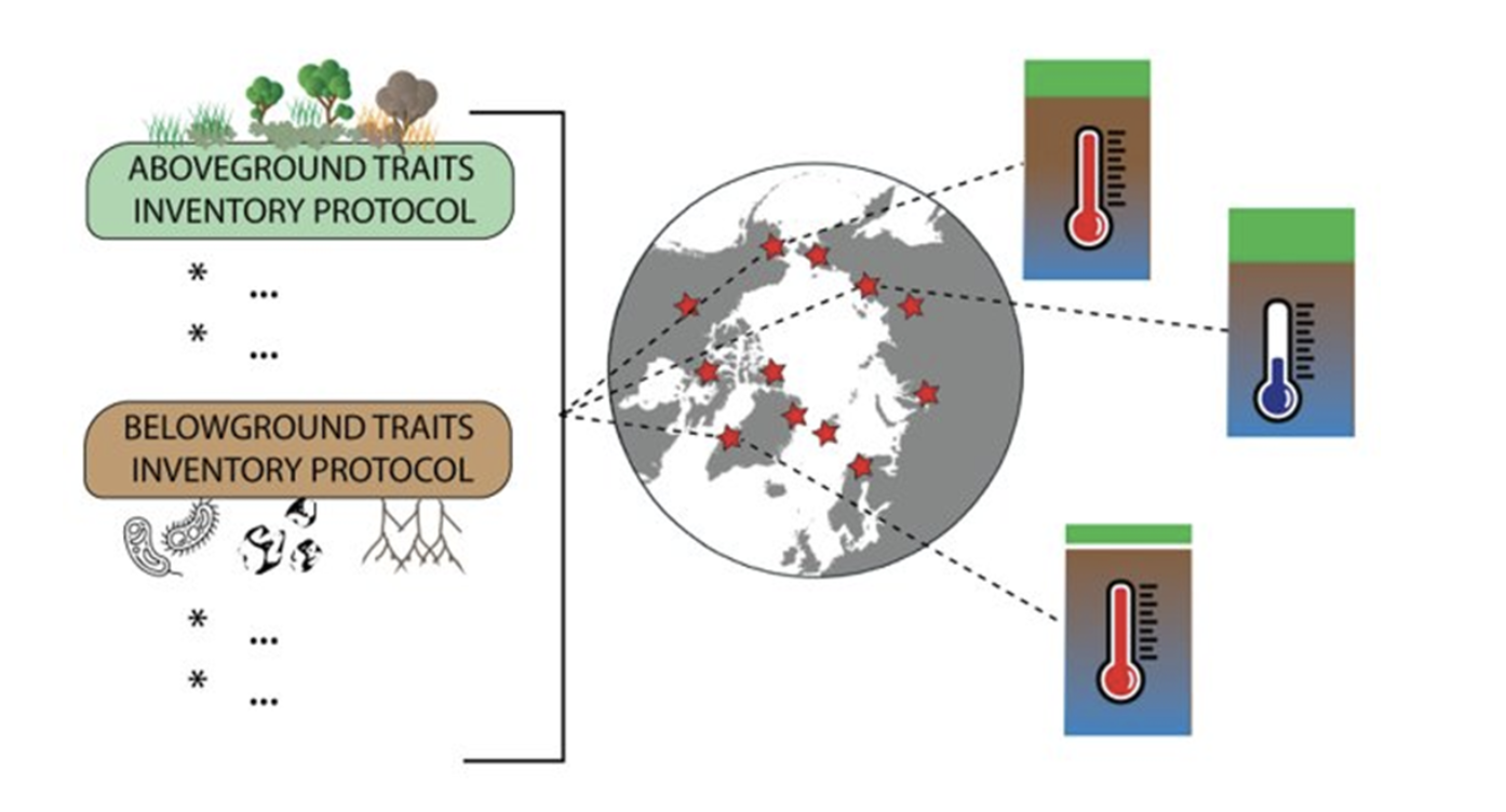 Figure 6. Distribution of measurement protocols using existing permafrost monitoring networks across the Arctic. 