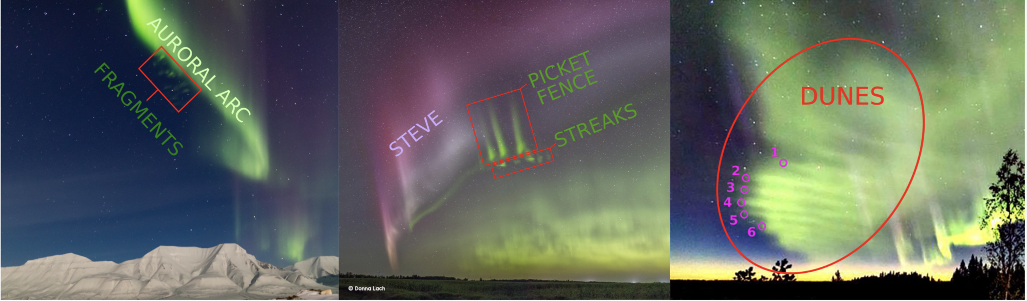 Images (left) fragments by Sophie Cordon, (middle) STEVE, picket fence, and streaks by Donna Lach, (right) dunes taken by a citizen scientist from Palmroth et al.,2020.