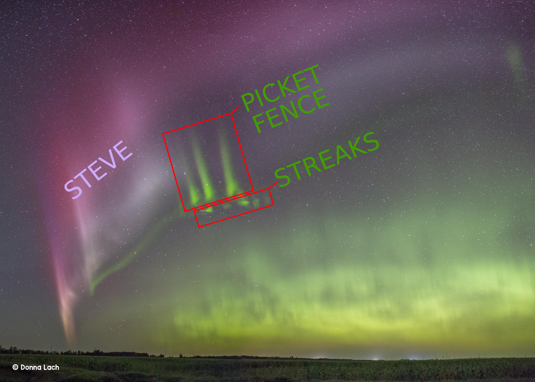 Image taken by Donna Lach showing STEVE, the picket fence, and streaks.